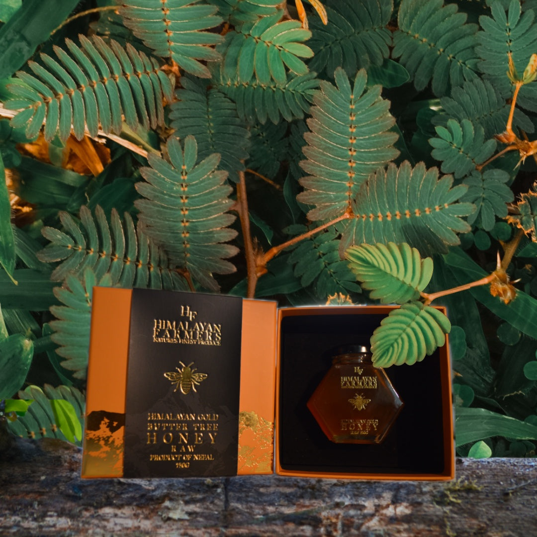 Himalayan Gold Butter Tree Honey (150 Grams)